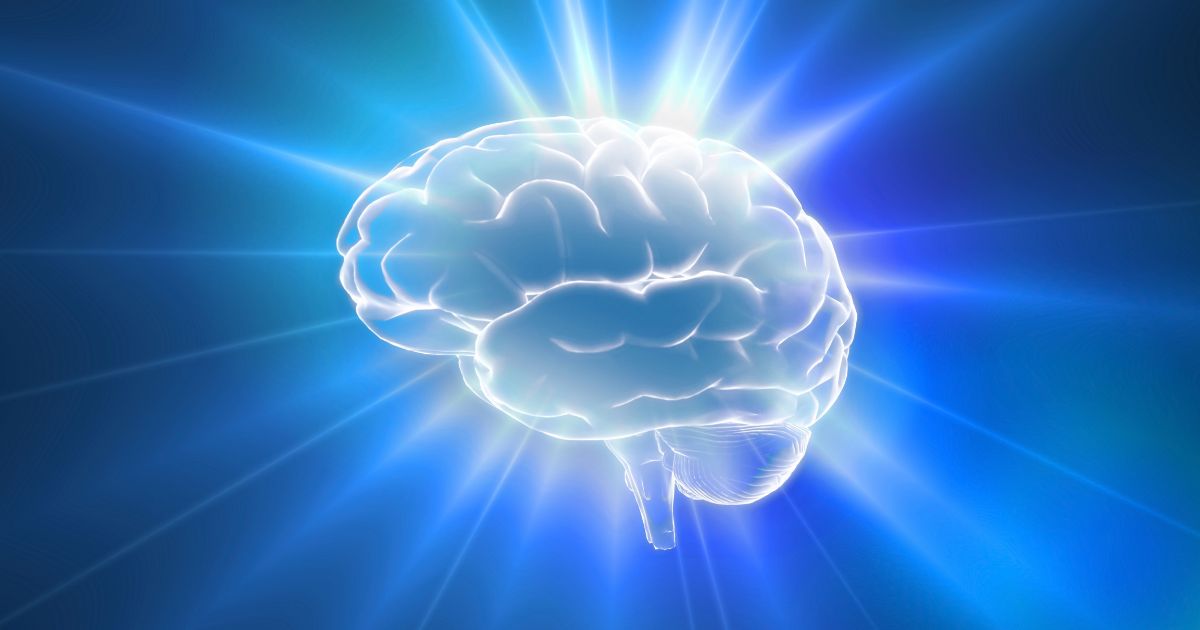 What gratitude does for your brain