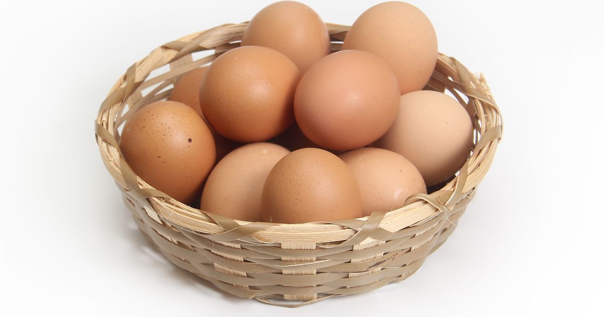 is 10 eggs per day really fine
