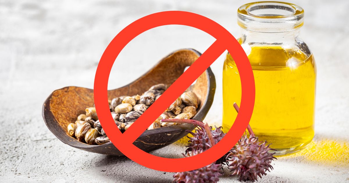 polyunsaturated seed oils are not the answer