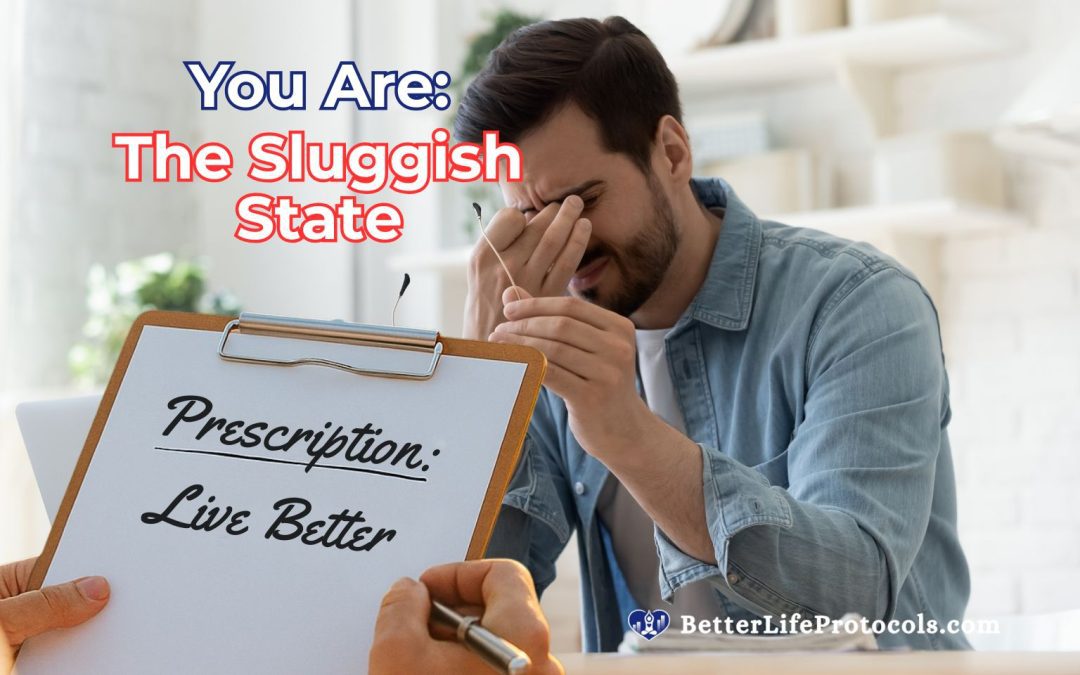 Your Quiz Profile is The Sluggish State – The Hibernator