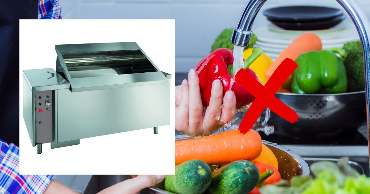 4. Vegetable Washer