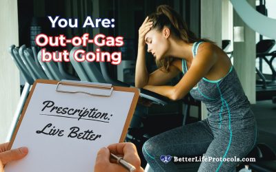 Your Quiz Profile is Out-of-Gas but Going – The Steadfast Mare