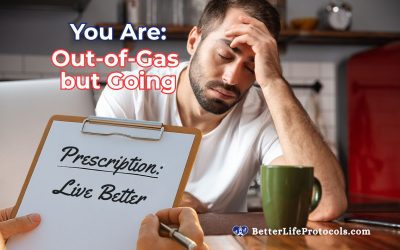 Your Quiz Profile is Out-of-Gas but Going – The Workhorse