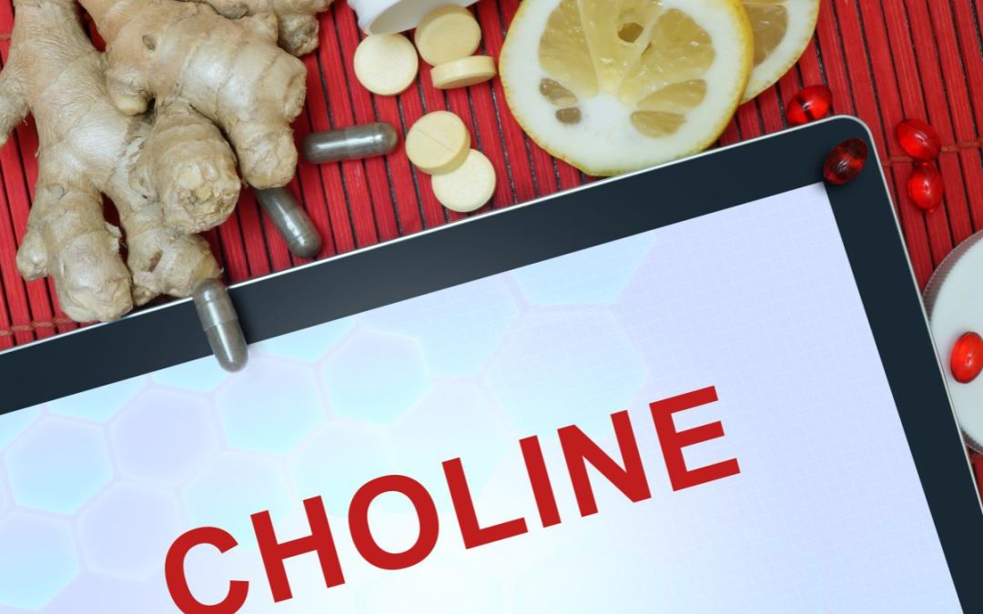 Choline Explained: Why It’s So Important (and Why We Insist on Testing)