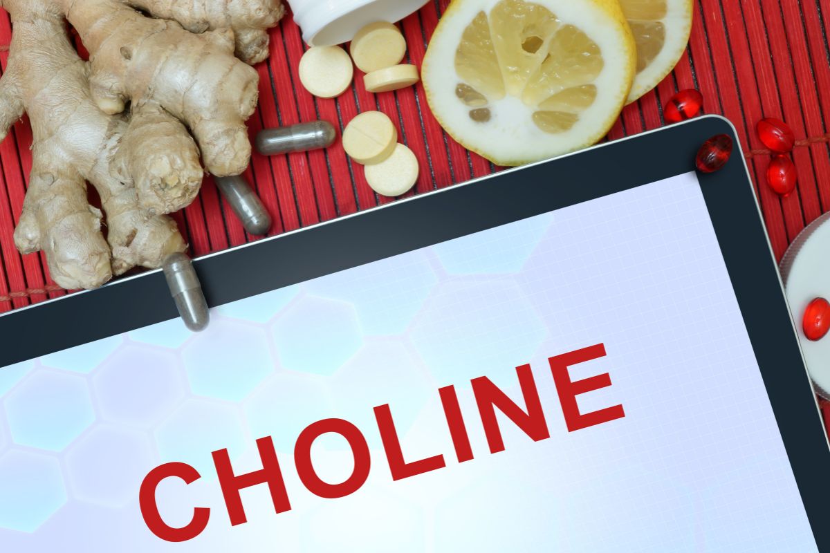 Choline Explained
