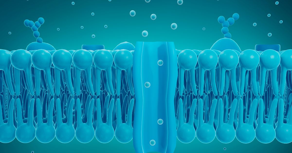 Lifestyle, convenience, and why modern living increases choline need