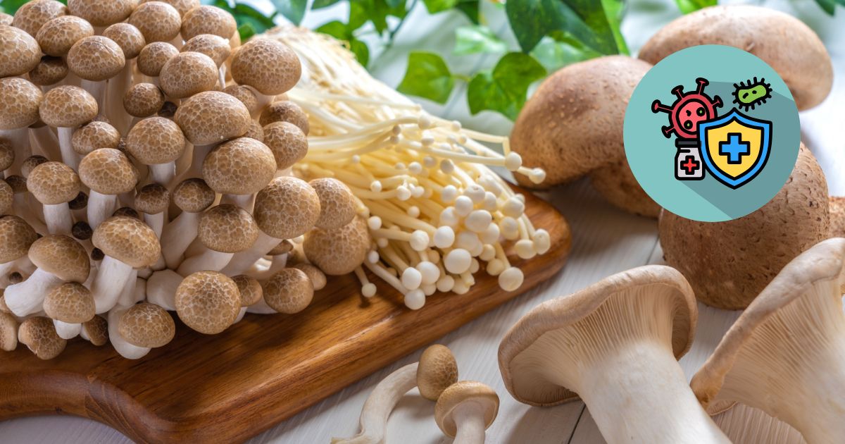 Mushrooms for soluble fiber and immune support