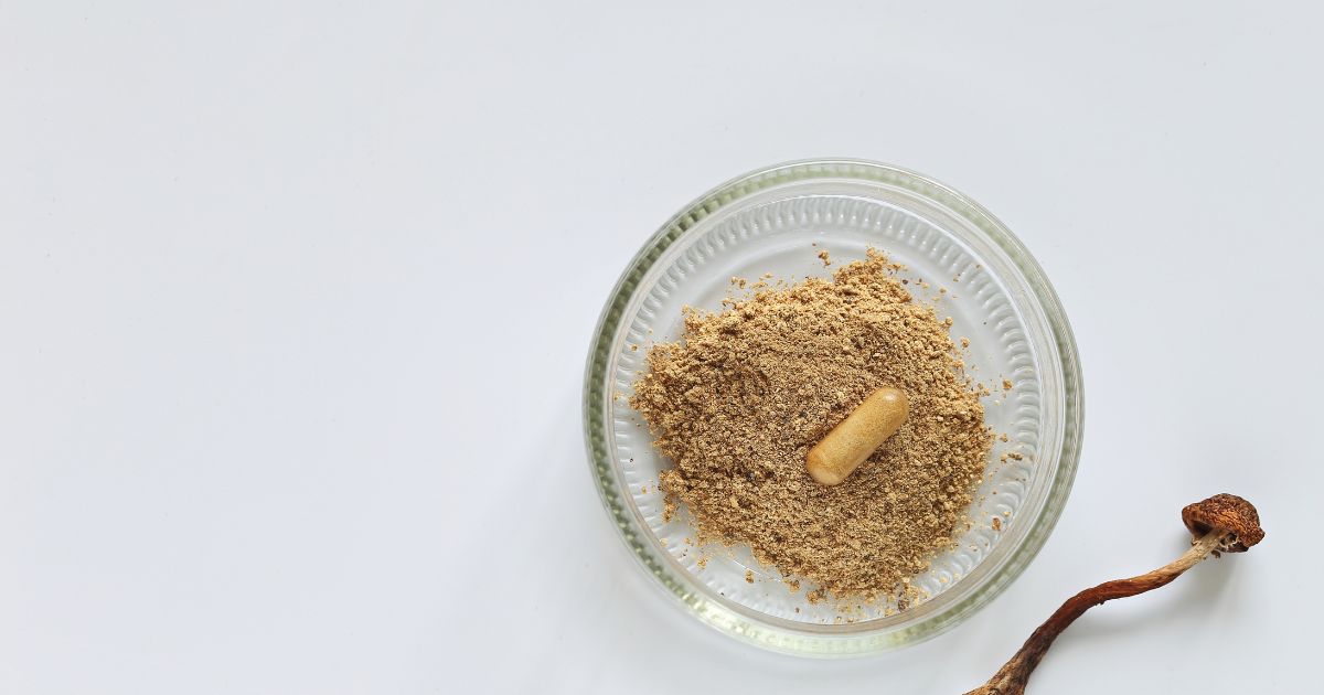 What a psilocybin journey typically looks like — timing and phases