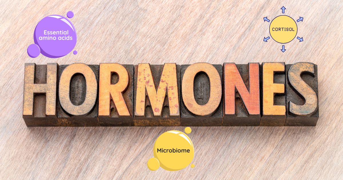 Why hormones matter and how food influences them