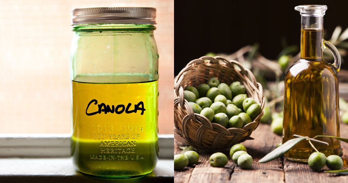Canola oil versus olive oil_ a surprising comparison