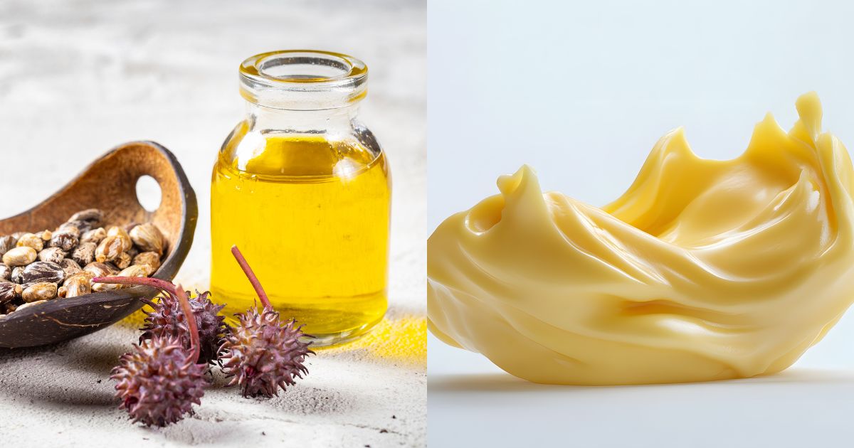 Key differences between seed oils and animal fats