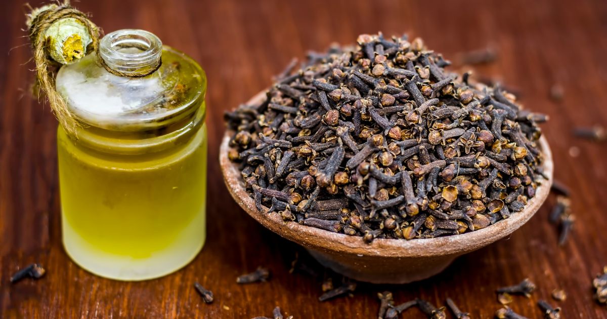 What are seed oils and how are they made